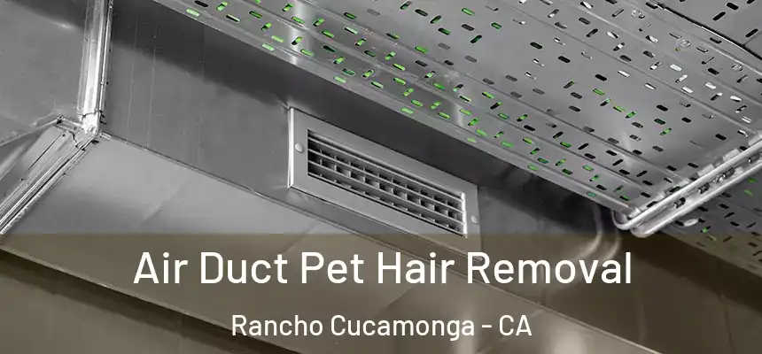  Air Duct Pet Hair Removal Rancho Cucamonga - CA