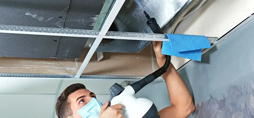 Our Air Duct Rodent Removal Services in Rancho Cucamonga, CA