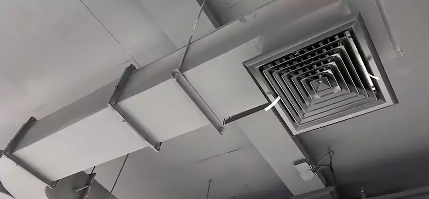 Restorative Allergy Relief Vent Cleaning – Coil, Blower & Housing Detail in Rancho Cucamonga