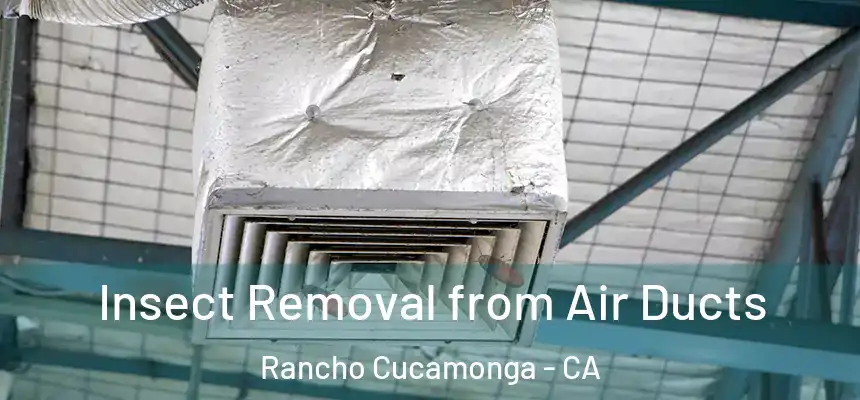  Insect Removal from Air Ducts Rancho Cucamonga - CA