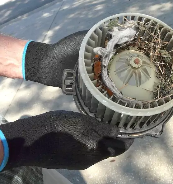 About Air Duct Rat Removal in Rancho Cucamonga, CA