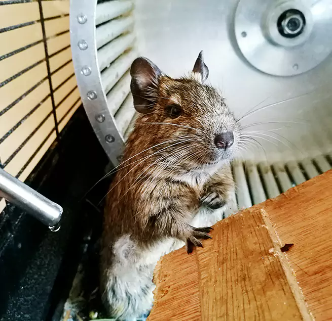 Why Homeowners & Businesses Trust Us Rancho Cucamonga, CA?