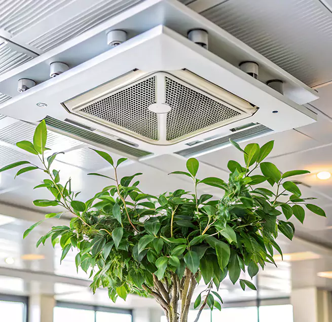 Why Homeowners & Businesses Trust Us in Rancho Cucamonga, CA?